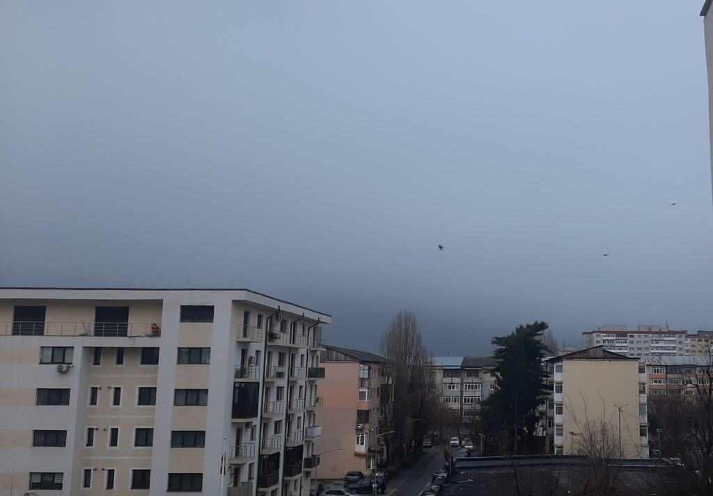 Alertă meteo: Vreme foarte rece și precipitații mixte în Târgoviște și județul Dâmbovița Alertă meteo: Vreme foarte rece și precipitații mixte în Târgoviște și județul Dâmbovița.Începând din dimineața zilei de 4 ianuarie 2025, ora 08:00