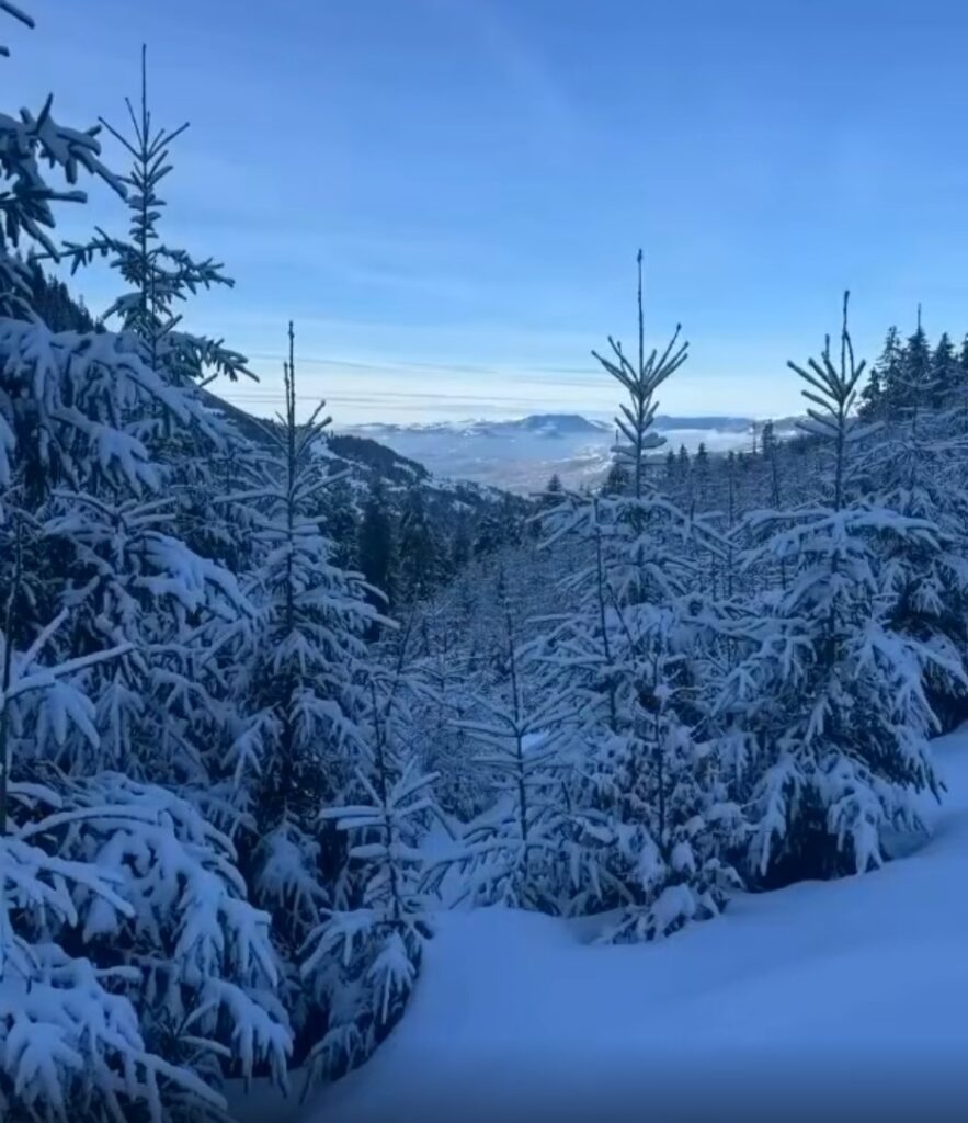 Cascada Cailor din Maramureș, situată în inima Parcului Național Munții Rodnei, este un loc ce pare desprins dintr-o poveste.