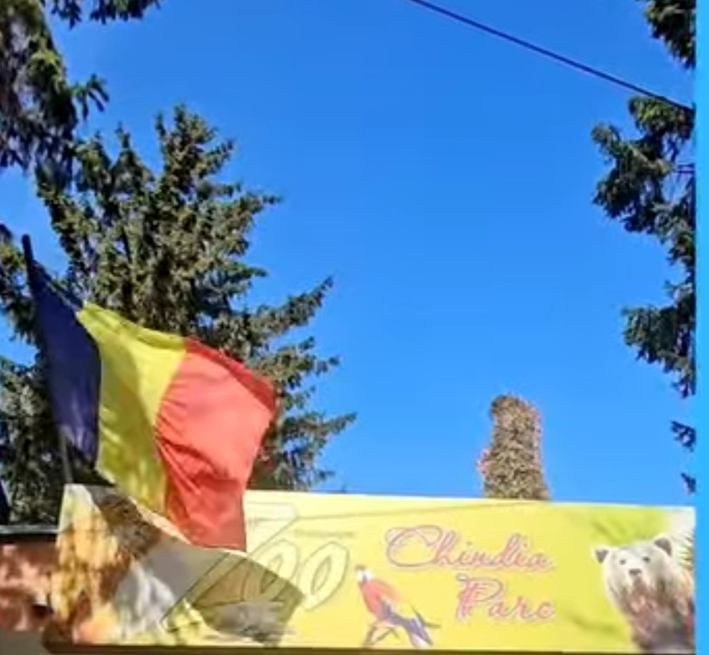 Grădina Zoologică din Târgoviște a fost și în 2024, un loc de top pentru iubitorii de natură și animale, atrăgând nu mai puțin de 152.643 de vizitatori, care au avut ocazia să descopere diversitatea fascinantă a Grădinii.