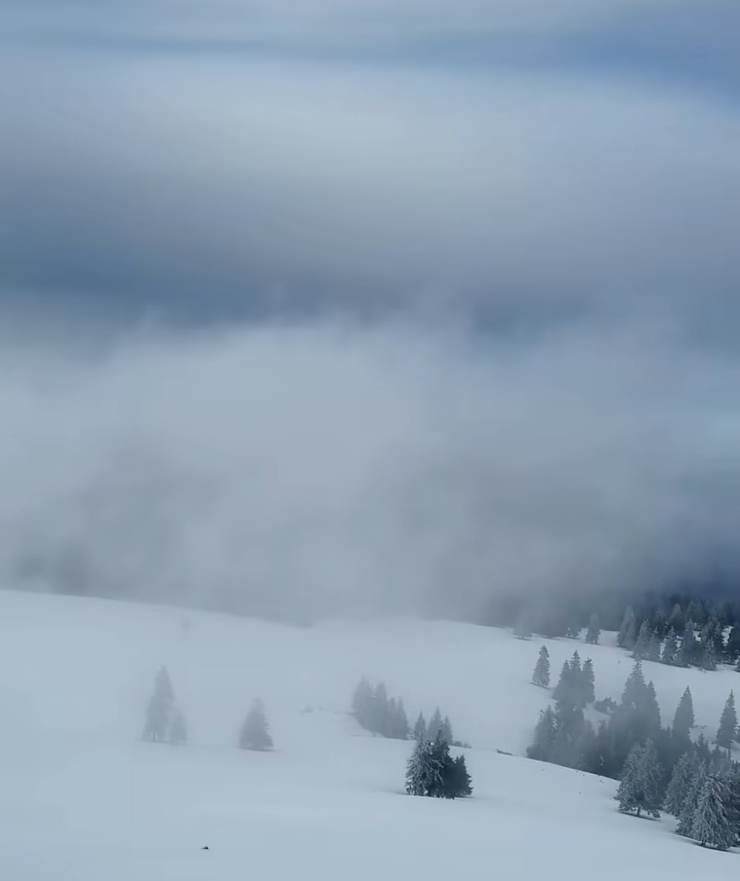 Pentru iubitorii de natură și aventură, Munții Buzăului își deschid porțile în această iarnă, oferind un peisaj de vis. Împresurați de un strat gros de zăpadă