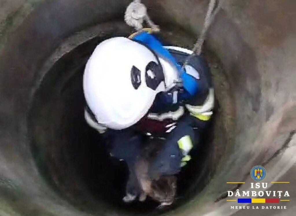 Un pompier dâmbovițean a salvat o pisică căzută într-un puț Un pompier dâmbovițean a salvat o pisică căzută într-un puț. Astăzi, cu ocazia Zilei Protecției Civile, Inspectoratul pentru Situații de Urgență „Basarab I” al județului Dâmbovița