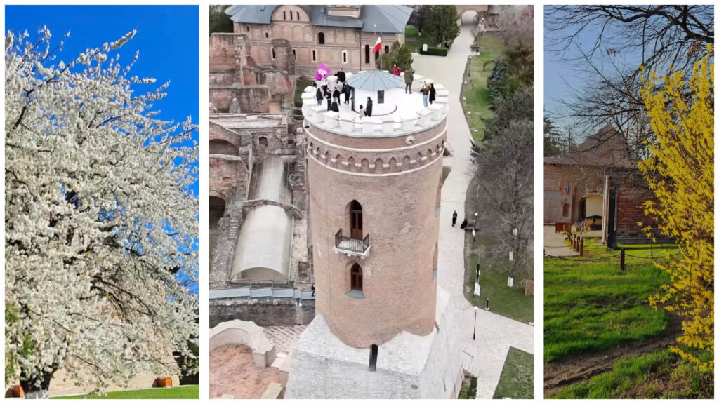 De astăzi, 30 martie 2025, Complexul Național Muzeal „Curtea Domnească” Târgoviște își adaptează programul de vizitare pentru a oferi vizitatorilor mai mult timp să exploreze colecțiile și exponatele valoroase ale muzeelor din Târgoviște și județul Dâmbovița. Astfel, muzeele vor fi deschise într-un program extins, perfect pentru zilele calde de primăvară și vară.