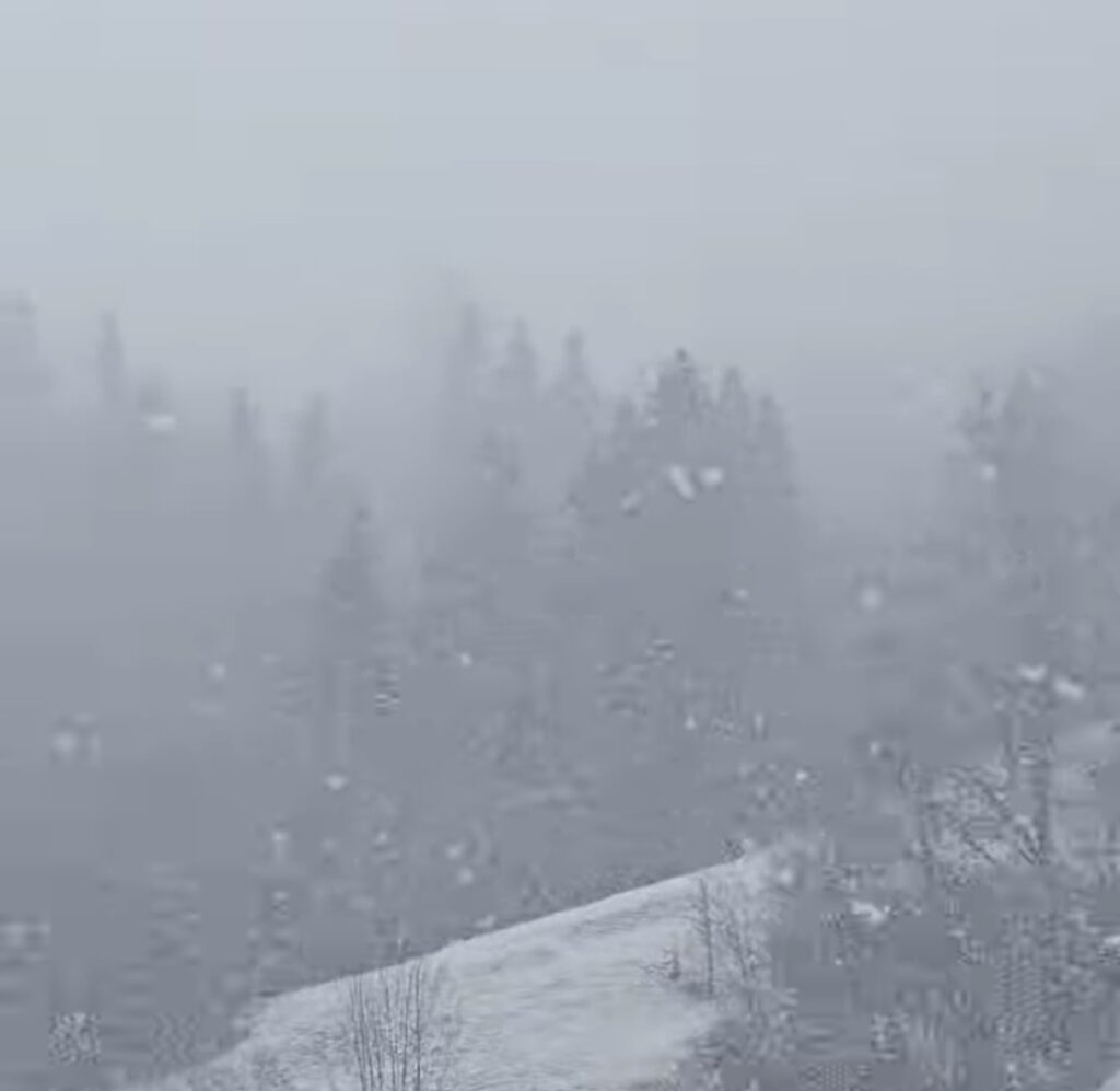 În prima zi a primăverii, Moieciu de Sus s-a transformat într-un loc de basm, acoperit de un strat proaspăt de zăpadă. Deși calendaristic am intrat în sezonul cald, natura a avut alt plan și a adus o ninsoare spectaculoasă, oferind un peisaj montan desprins din povești.