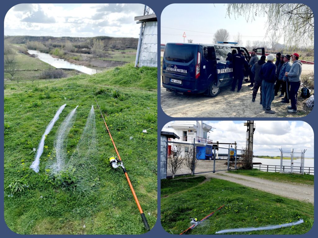 Jandarmii dâmbovițeni au intensificat acțiunile de prevenire și combatere a braconajului în habitatele piscicole naturale, în urma unor controale desfășurate weekend-ul