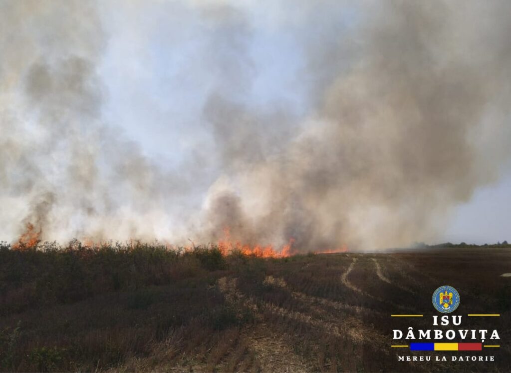 Iadul în Dâmbovița: Incendii devastatoare de vegetație în județ, ieri, pompierii din Dâmbovița au avut o zi deosebit de dificilă,