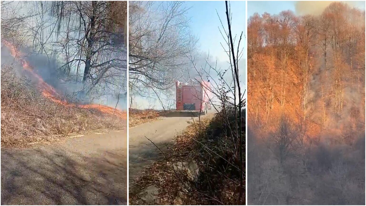 Un incendiu de proporții afectează izlazurile din comuna Malu cu Flori, județul Dâmbovița. De ore bune, pompierii, cetățenii și administrația locală, condusă de primarul Ion Constantin, luptă împotriva flăcărilor, încercând să limiteze extinderea acestora.