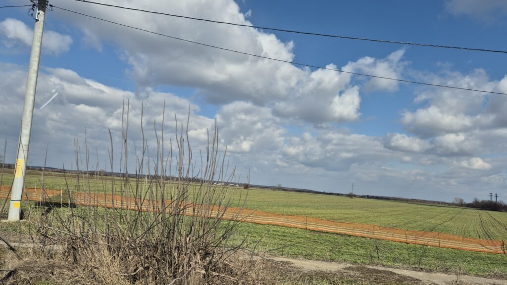 Prognoza meteo: Schimbări bruște de temperatură, de mâine 4 martie, pregătiți-vă pentru o săptămână caldă