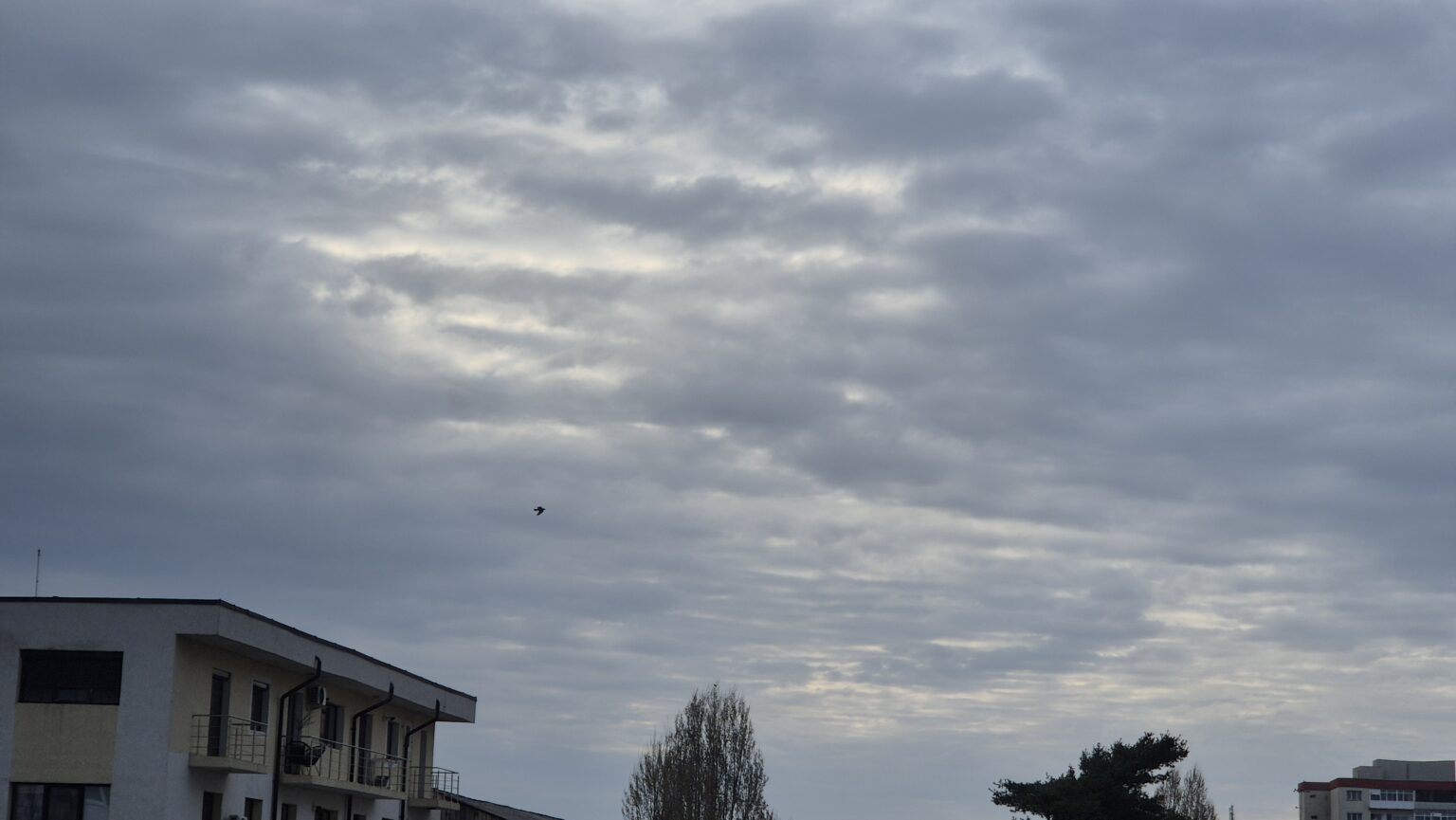 Prognoza meteo,  astăzi, vremea va fi mai schimbătoare în Târgoviște și în întreaga regiune. Cerul va fi temporar acoperit de nori și va ploua în special în vestul, centrul și nordul țării, iar în restul regiunii precipitațiile vor fi mai izolate. La munte, la altitudini mari, vor fi precipitații mixte.