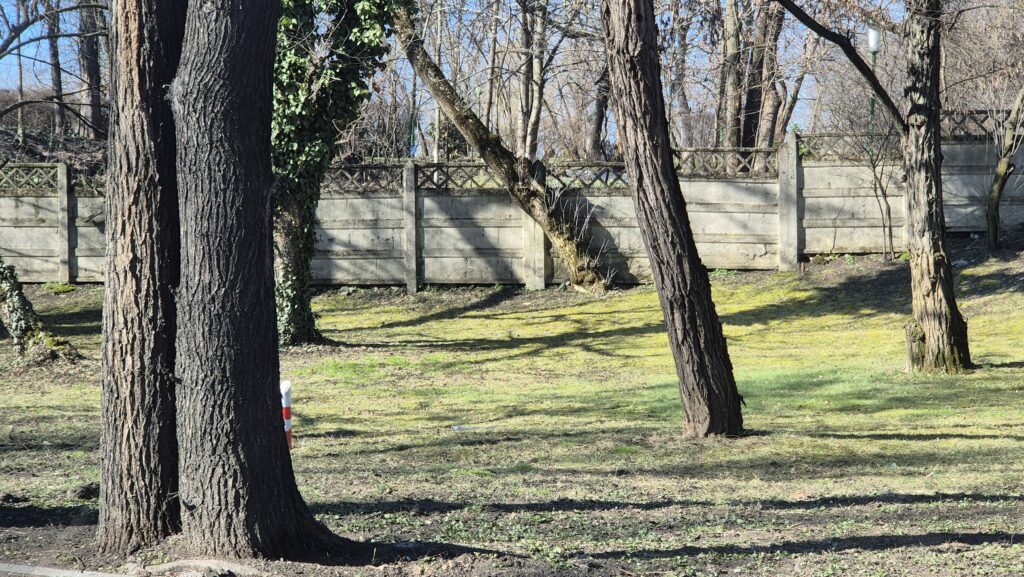 În perioada 5 - 13 martie 2025, România se va bucura de un val de aer cald care va aduce temperaturi semnificativ mai mari decât normele pentru această perioadă.