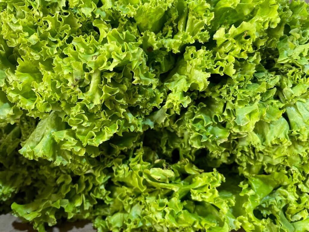 „Verdețuri de Primăvară 2025” , campanie de control tematic în piețele agroalimentare din toată țara .Autoritatea Națională Fitosanitară (ANF) demarează o acțiune națională importantă în perioada 11 martie – 11 aprilie 2025, sub denumirea „Verdețuri de Primăvară 2025”. 