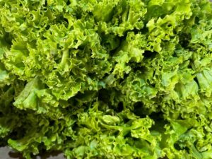 „Verdețuri de Primăvară 2025” , campanie de control tematic în piețele agroalimentare din toată țara .Autoritatea Națională Fitosanitară (ANF) demarează o acțiune națională importantă în perioada 11 martie – 11 aprilie 2025, sub denumirea „Verdețuri de Primăvară 2025”. 