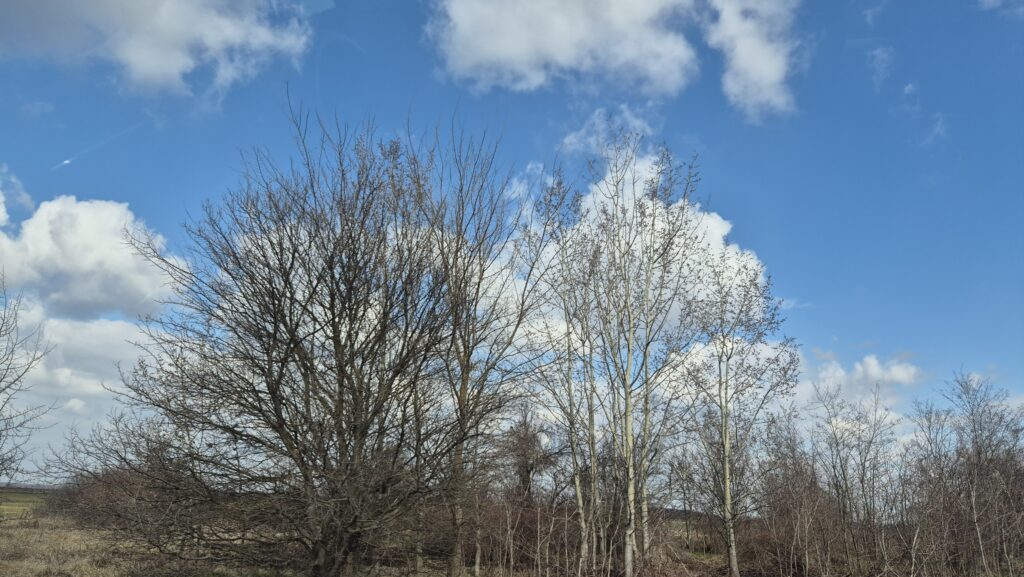 Meteorologii prognozează o zi deosebit de frumoasă pe 4 martie 2025, cu temperaturi mult mai ridicate față de zilele anterioare.