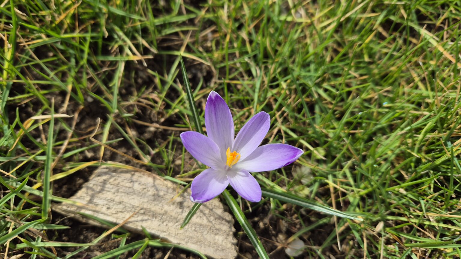 Vremea de primăvară face loc iernii: Schimbări bruşte de temperatură şi ninsori în următoarele 48 de ore.