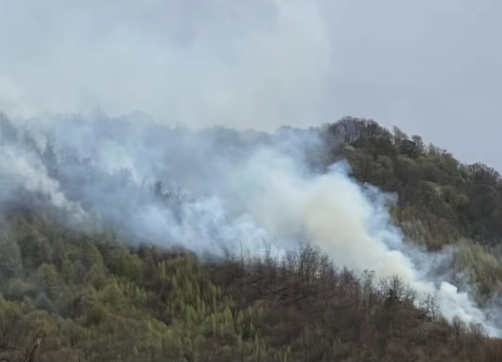 Alertă maximă  în nordul județului Argeș unde un incendiu de pădure se află în plină desfășurare. Flăcările au cuprins o suprafață de aproximativ 24 de hectare