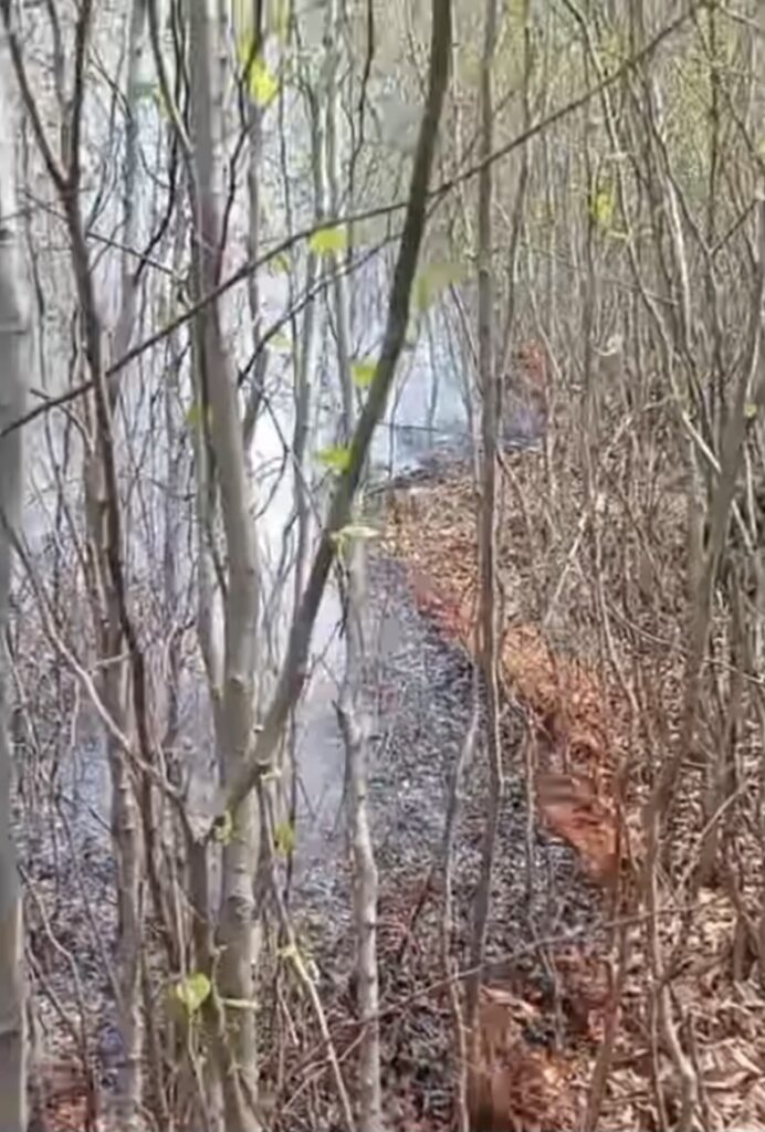 Alertă maximă  în nordul județului Argeș unde un incendiu de pădure se află în plină desfășurare. Flăcările au cuprins o suprafață de aproximativ 24 de hectare