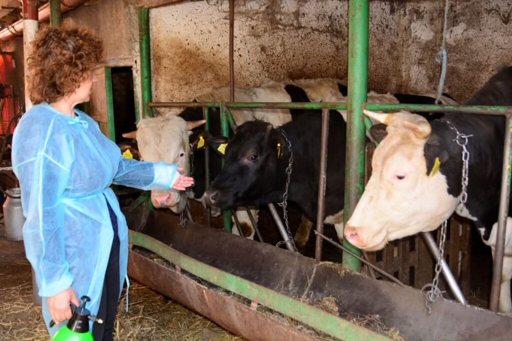 DSVSA Dâmbovița a început recensământul animalelor și păsărilor în Ulmi și Dragomirești în cadrul unui demers