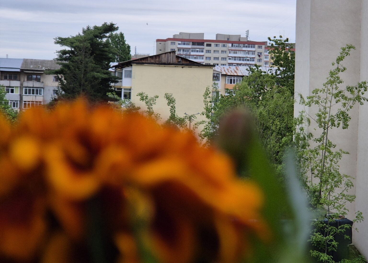 Prognoza meteo, astăzi, 27 aprilie 2025: Vremea se răcește accentuat, ploi și brumă în mai multe regiuni Prognoza meteo, astăzi, 27 aprilie 2025: Vremea se răcește accentuat, ploi și brumă în mai multe regiuni