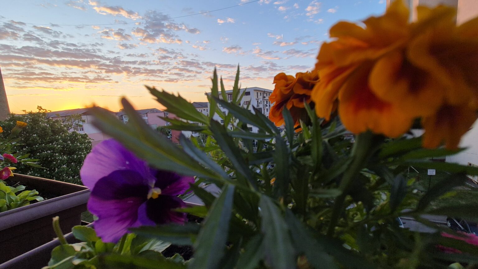 Prognoza meteo pentru 30 aprilie, cetățenii se bucură astăzi de o zi splendidă de primăvară, cu soare și temperaturi generoase în cea mai mare parte a țării. Sudul și estul beneficiază de o încălzire semnificativă, aducând un aer de vară timpurie.