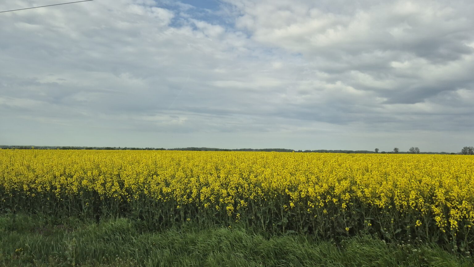 Prognoza meteo pentru astăzi: vreme  caldă , cerul este variabil în majoritatea regiunilor.Meteorologii atrag însă atenția că, în a doua parte a zilei, pot apărea perioade cu instabilitate atmosferică accentuată. Acestea se pot manifesta prin averse de ploaie, descărcări electrice și, izolat, căderi de grindină.