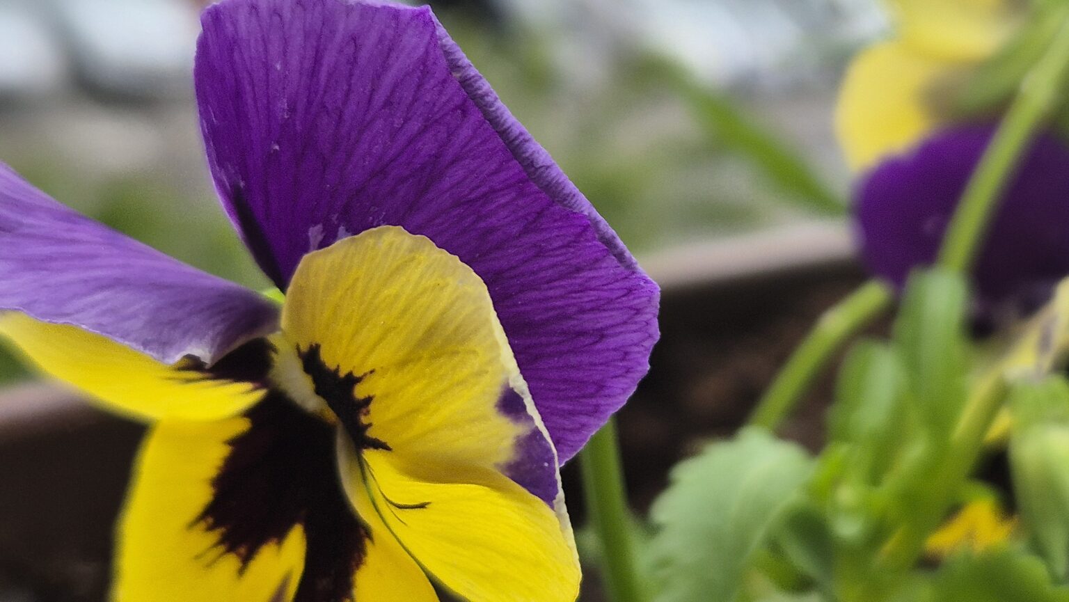 Prognoza meteo, marți, 29 aprilie 2025, vremea se anunță frumoasă în cea mai mare parte a țării, cu cer variabil și temperaturi în ușoară creștere. După-amiaza, sunt posibile ploi de scurtă durată la munte, însă în restul regiunilor cerul va rămâne mai mult senin.