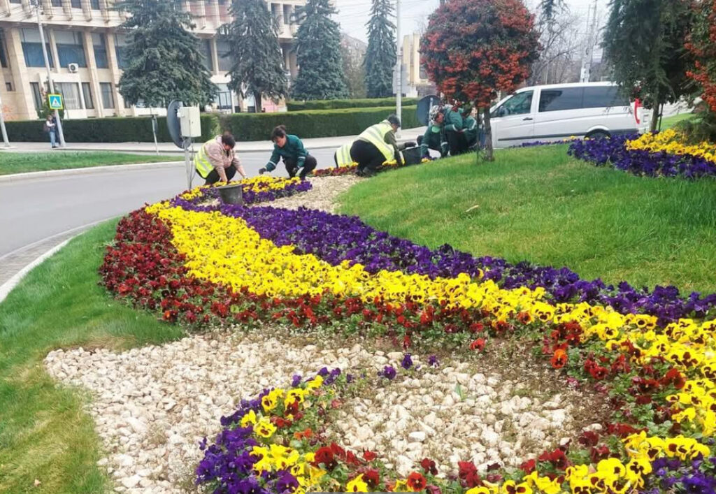 Târgoviște se transformă într-un colț de rai primăvăratic  Primăvara aduce nu doar o schimbare a vremii, ci și o schimbare a peisajului urban din Târgoviște,