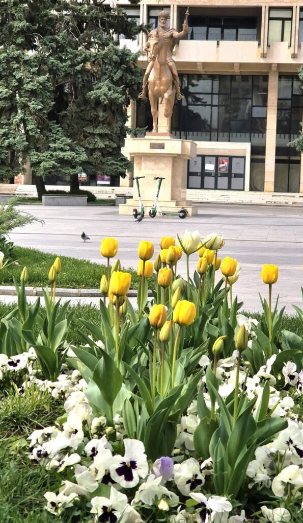 Municipiul Târgoviște a început să prindă din nou viață odată cu venirea primăverii. Spațiile verzi, parcurile și zonele centrale au fost împodobite cu flori de sezon, transformând orașul într-un adevărat colț de poveste.