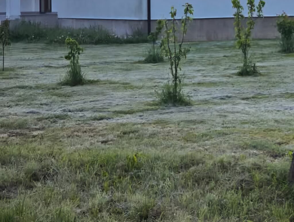 13 Mai 2025, cea mai rece dimineață de mai din ultimii 50 de ani 