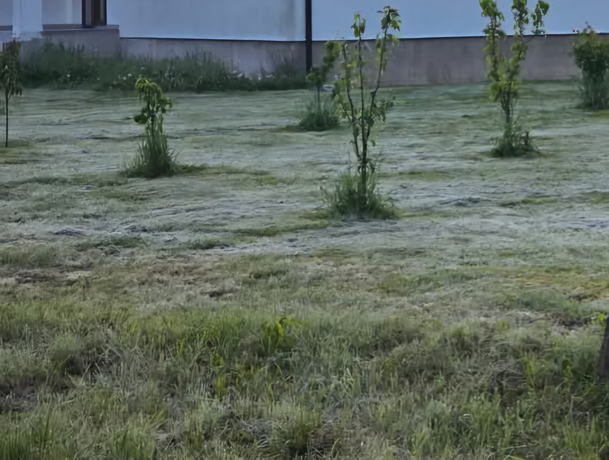 13 Mai 2025, cea mai rece dimineață de mai din ultimii 50 de ani