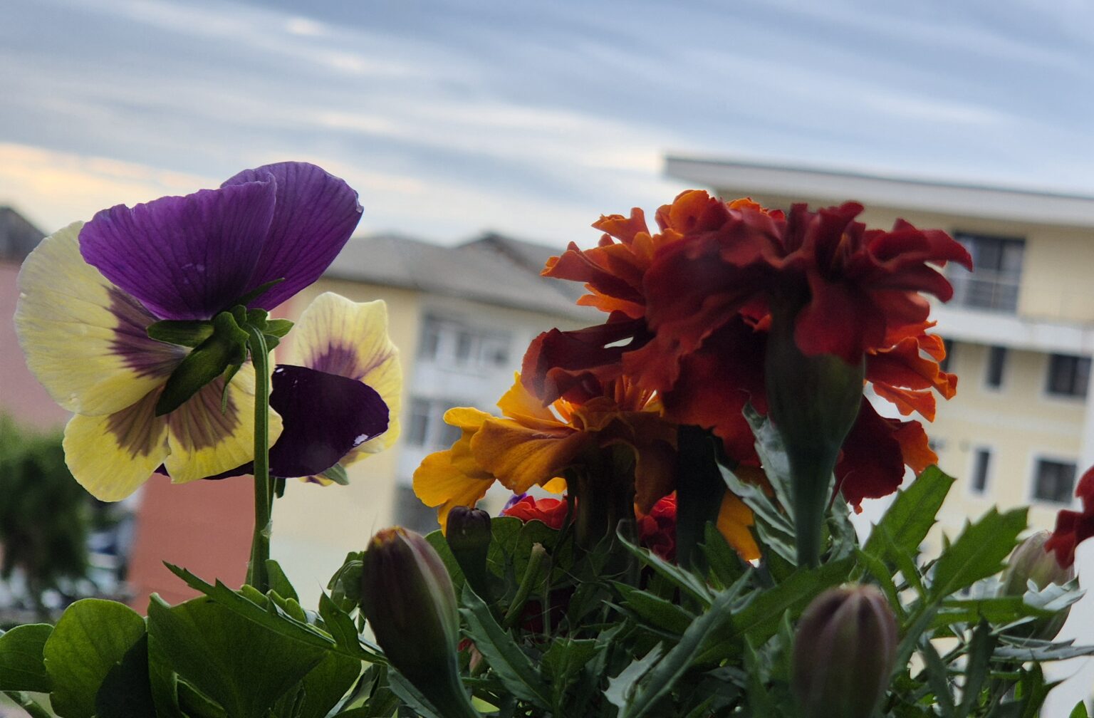 AVERTIZARE METEO pentru astăzi: Risc de fenomene severe, furtuni și ploi torențiale 