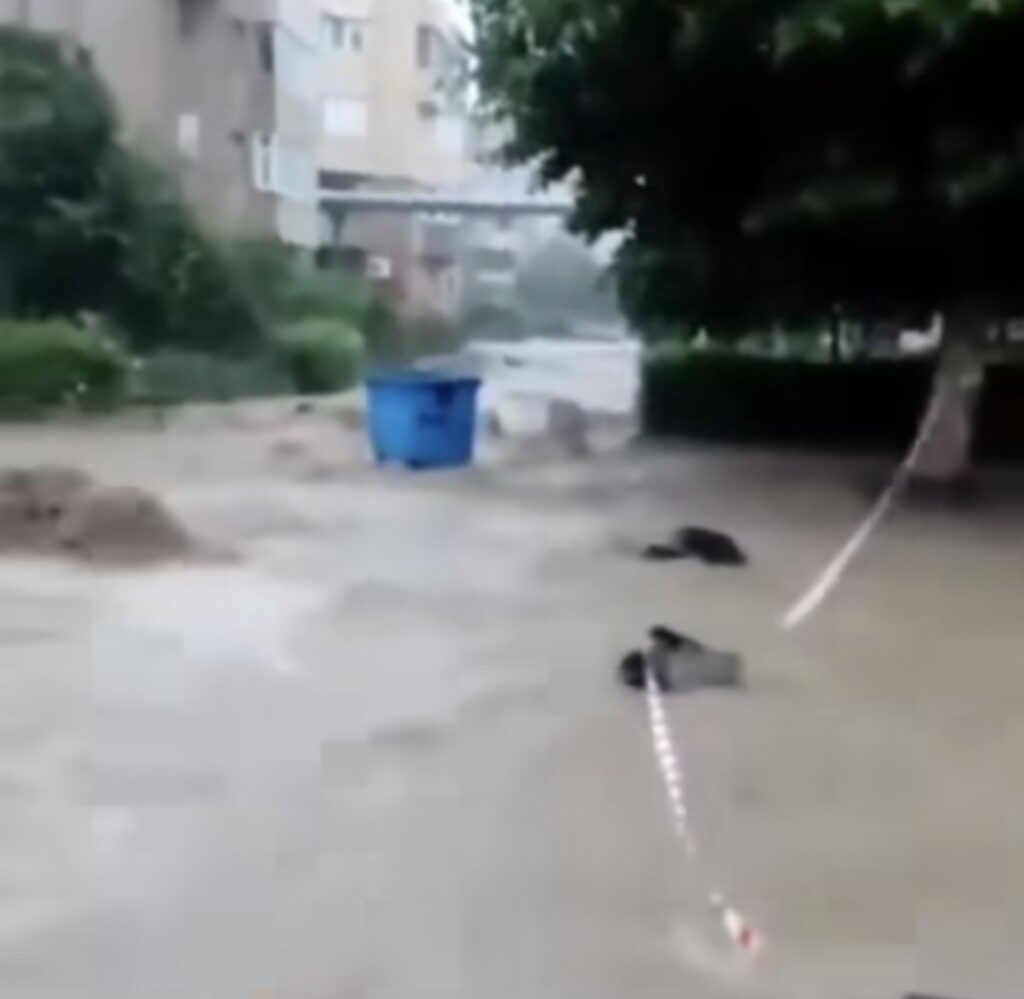 Furtună puternică în Cernavodă: Străzile au devenit râuri, ieri, 22 mai 2025