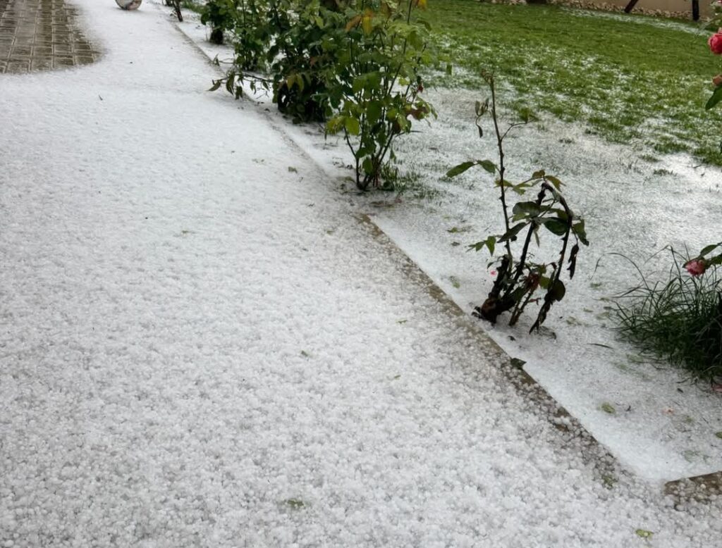 Grindina puternică a lovit Viișoara, comuna Ulmi