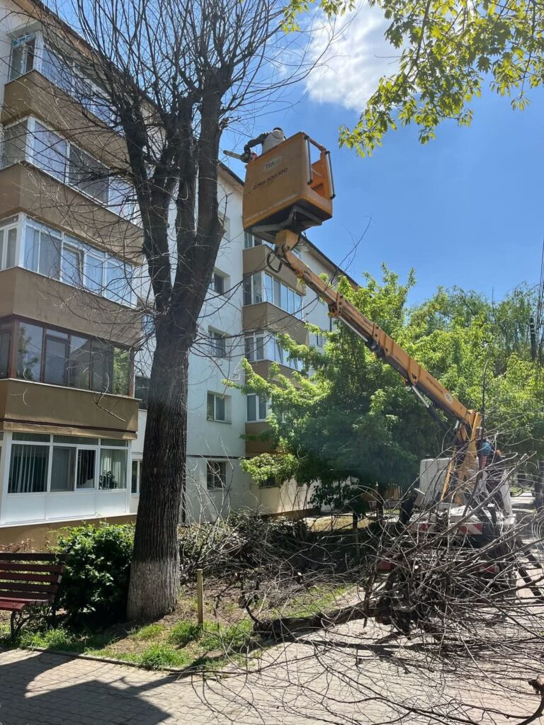 În perioada 28 aprilie – 2 mai, Primăria orașului Titu, prin serviciile de specialitate, a desfășurat o serie de lucrări de întreținere și igienizare în mai multe zone ale orașului, cu scopul de a asigura un mediu curat, sigur și plăcut pentru locuitori.