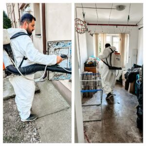 Lucrări în orașul Titu în săptămâna 5 – 9 mai: Curățenie, reparații și noi investiții pentru comunitate