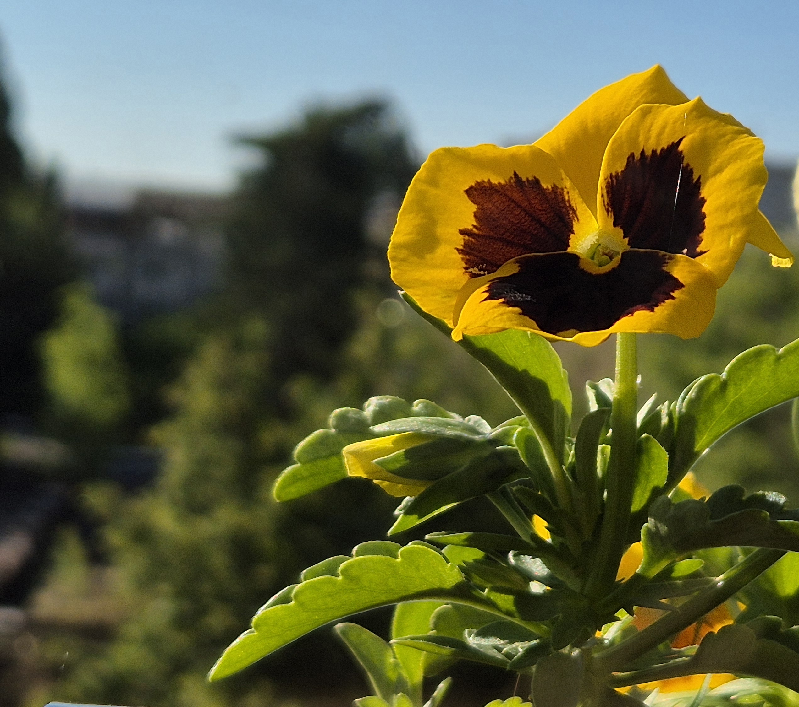 Prognoza meteo pentru astăzi, 18 mai: Soare dar nu scăpăm de instabilitatea atmosferică accentuată după prânz