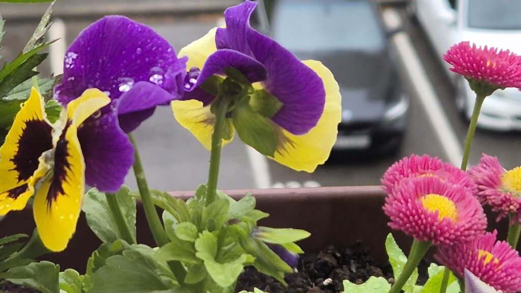 Prognoza meteo pentru marți, 6 mai 2025 Prognoza meteo pentru marți, 6 mai 2025