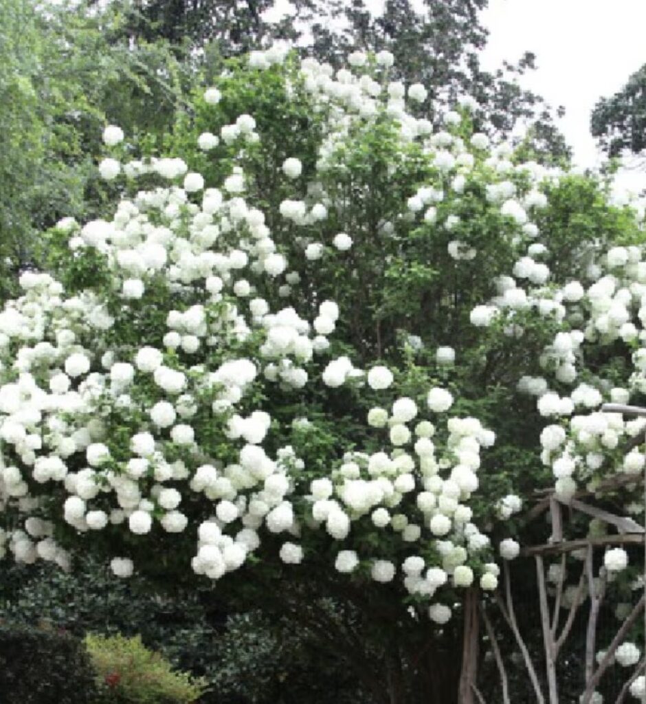 Soare arzător dimineața, furtuni violente după-amiază,  vreme capricioasă în toată țara în următoarele zile 