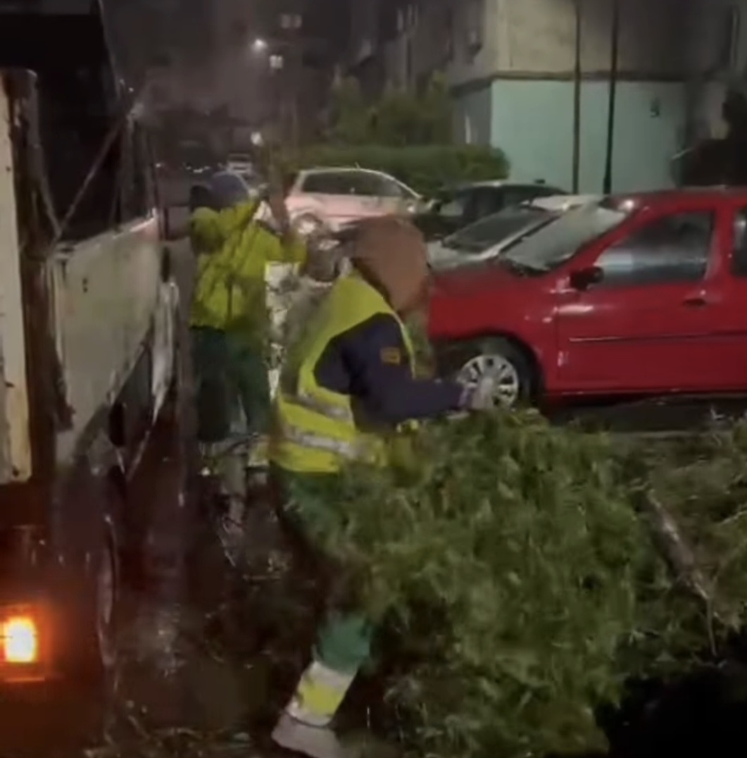 Târgoviște: Intervenție rapidă a autorităților în urma furtunii din noaptea trecută. VIDEO