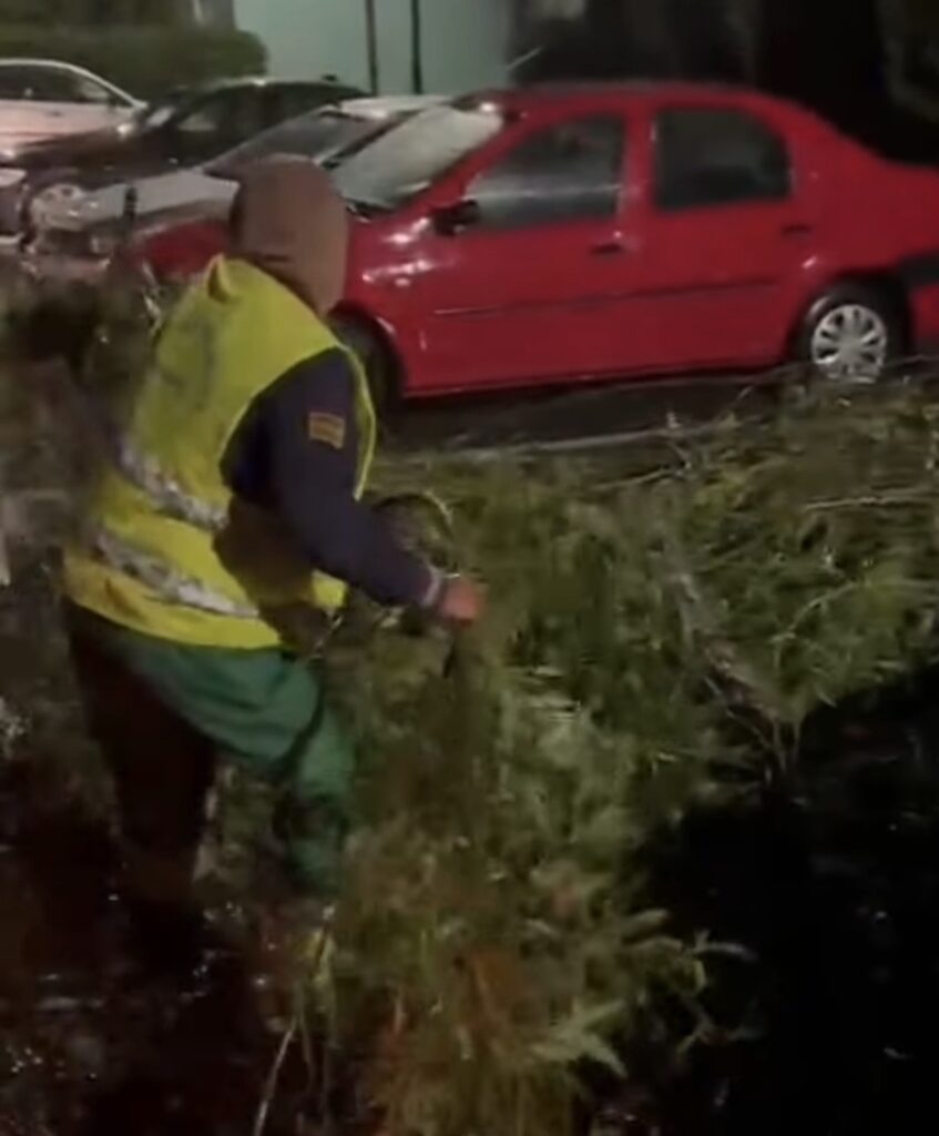 Târgoviște: Intervenție rapidă a autorităților în urma furtunii din noaptea trecută. VIDEO