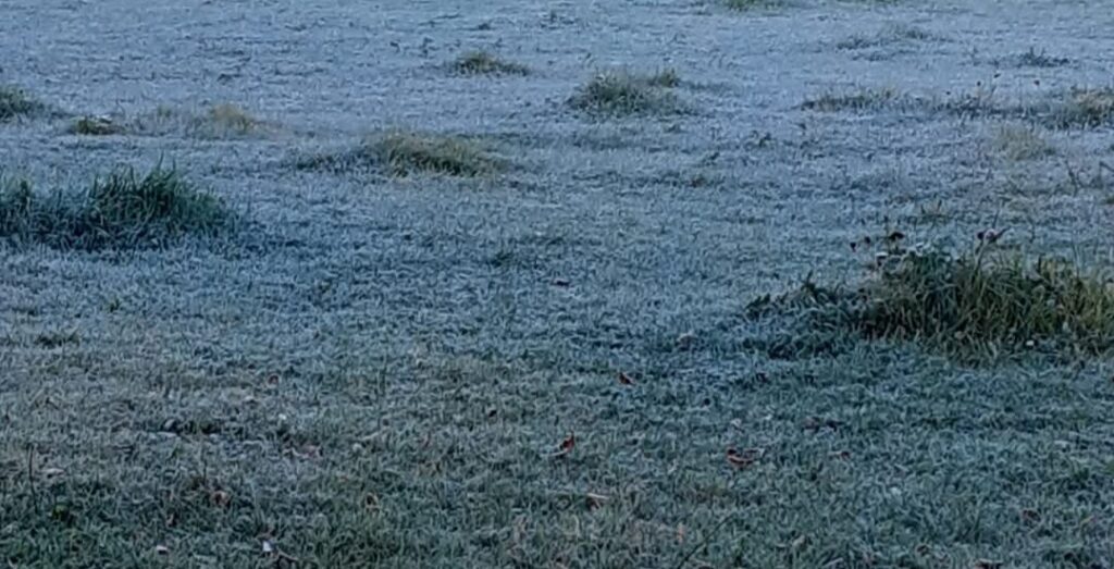 Vreme deosebit de rece și risc de brumă în județul Dâmbovița: ANM a emis o informare valabilă până pe 15 mai