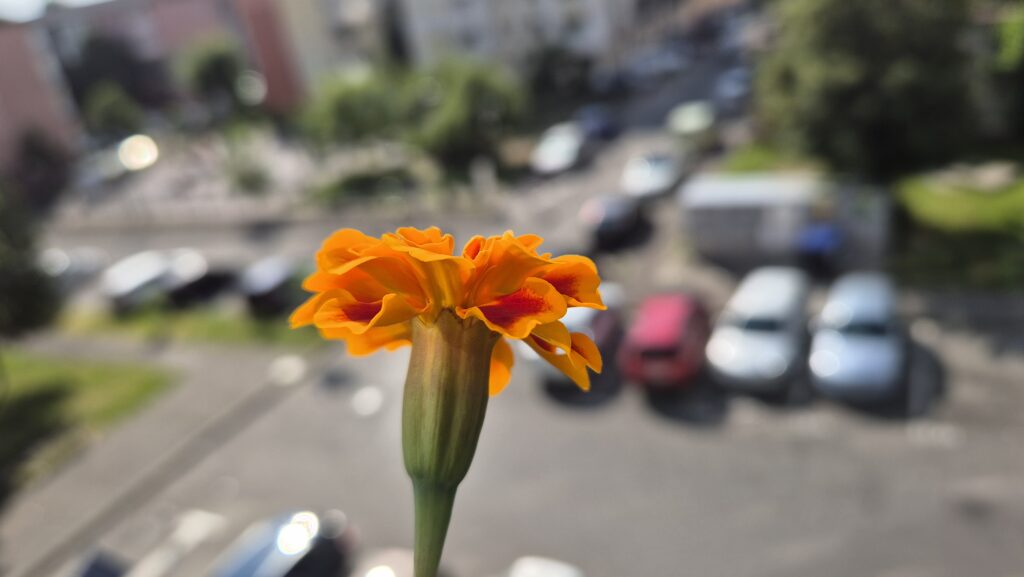ALERTĂ METEO: Vremea se schimbă radical după ora pranzului, furtuni puternice, vijelii și grindină