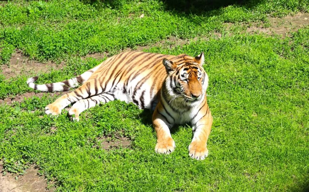 Duminică de poveste la Grădina Zoologică Târgoviște!