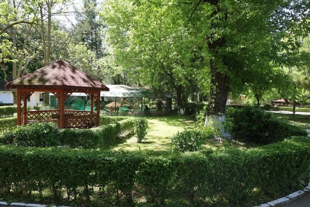 Duminică de poveste la Grădina Zoologică Târgoviște!