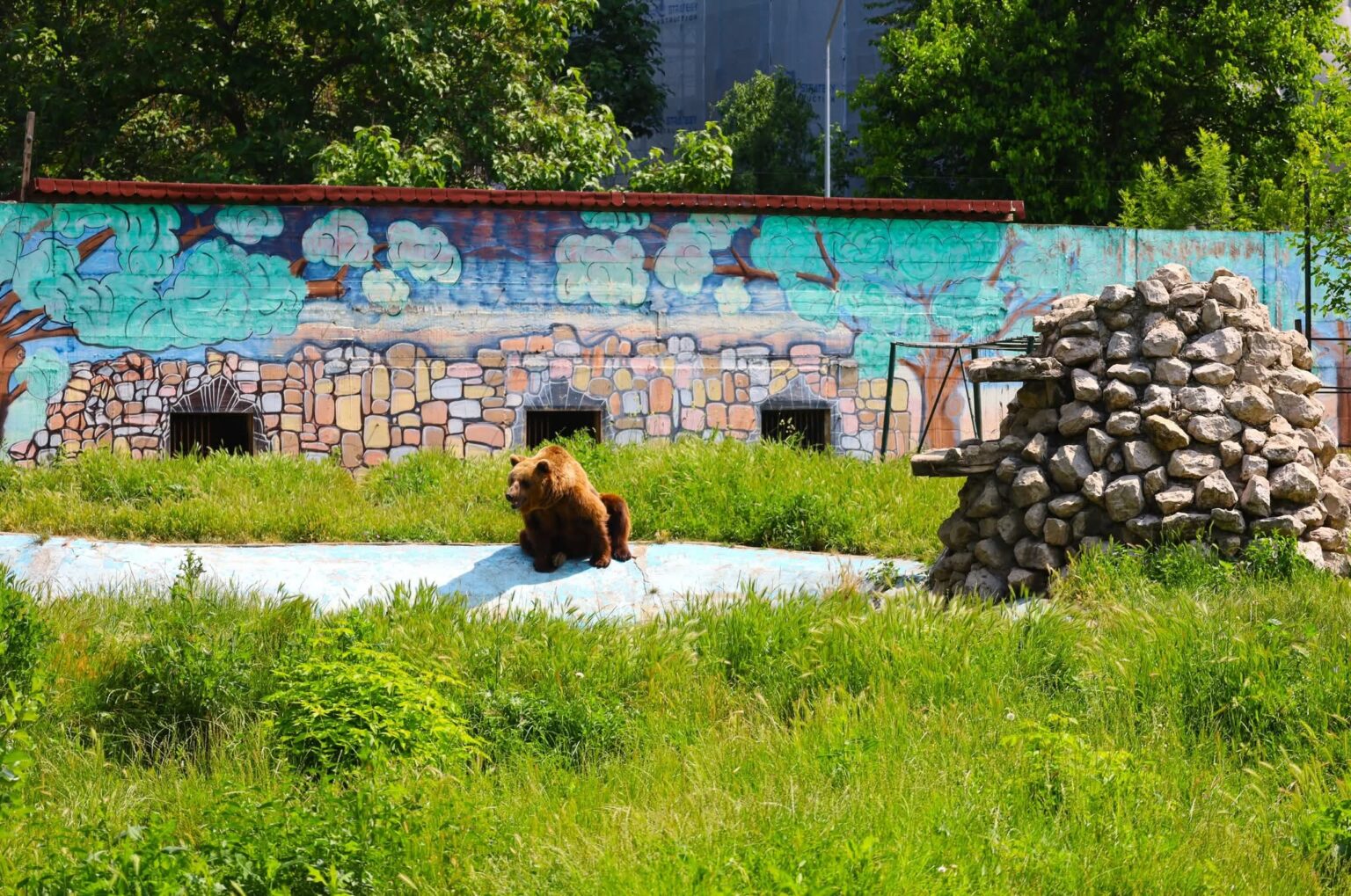 Un weekend de poveste la Grădina Zoologică din Târgoviște Un weekend de poveste la Grădina Zoologică din Târgoviște
