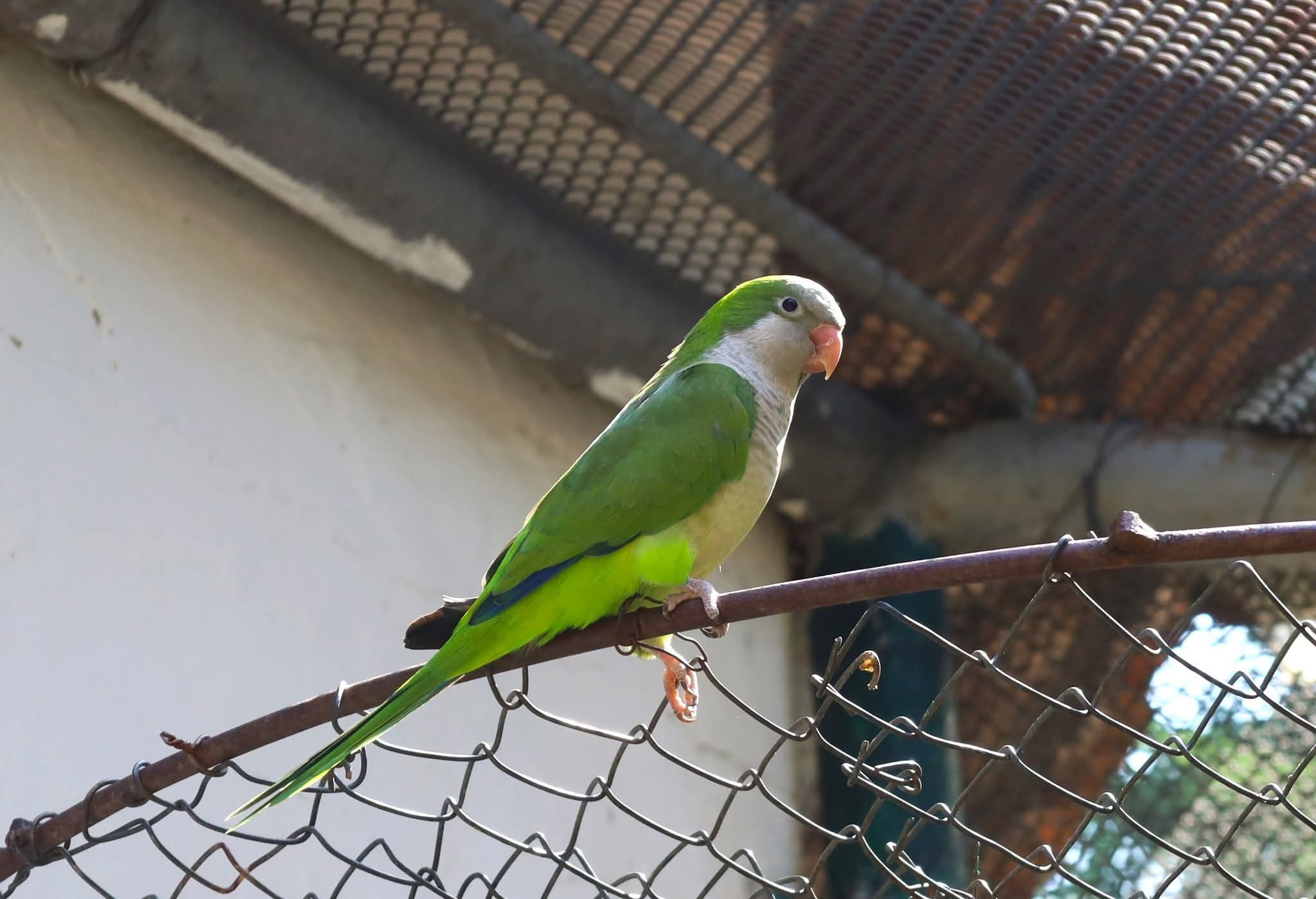 Un weekend de poveste la Grădina Zoologică din Târgoviște