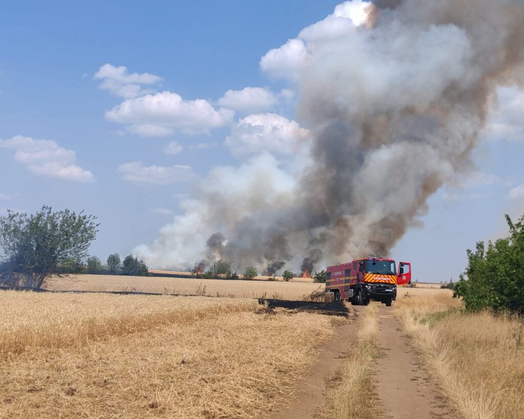 Incendiu de vegetație uscată în comuna Butimanu, intervenție promptă a pompierilor dâmbovițeni