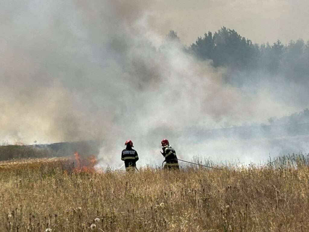 Incendiu de vegetație uscată în comuna Butimanu, intervenție promptă a pompierilor dâmbovițeni