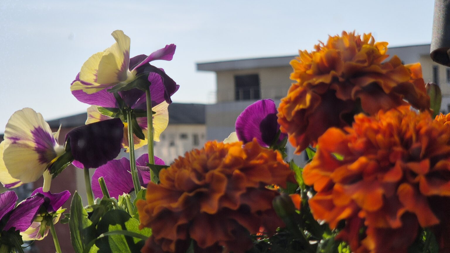 Prognoza meteo pentru astăzi în Dâmbovița: Soare puternic, dar și risc de furtuni