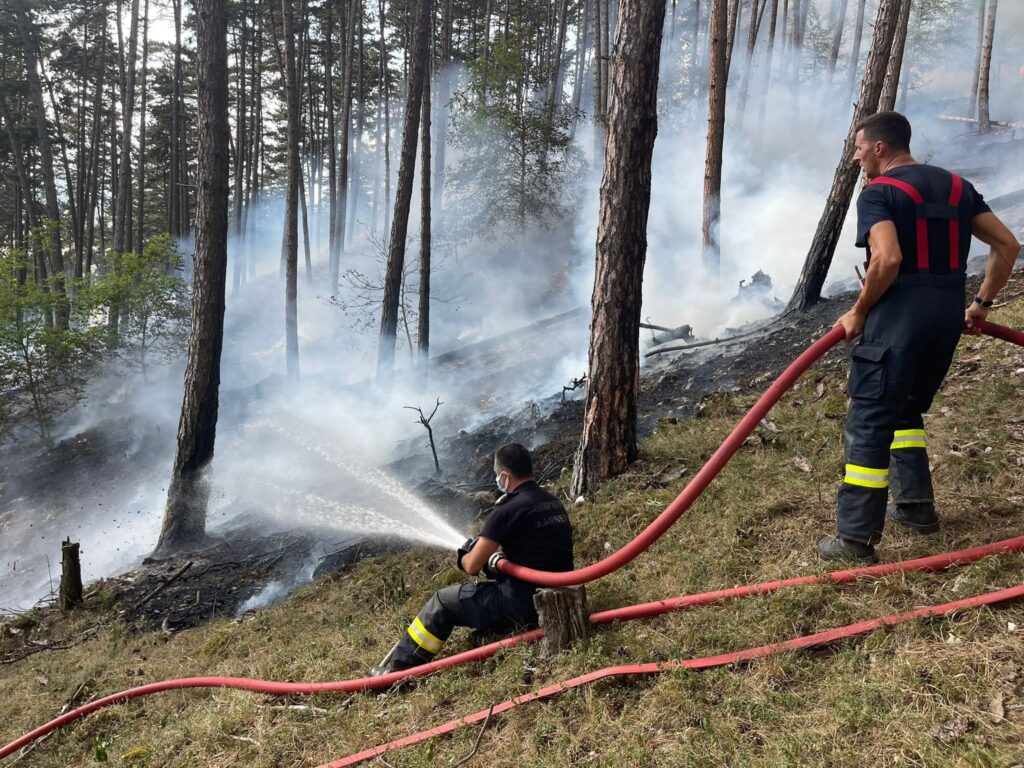 Măsuri pentru prevenirea și gestionarea incendiilor de pădure, în contextul prognozelor meteo caniculare 