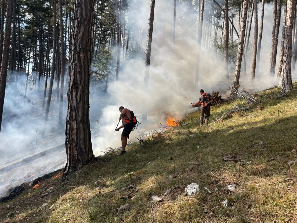 Măsuri pentru prevenirea și gestionarea incendiilor de pădure, în contextul prognozelor meteo caniculare