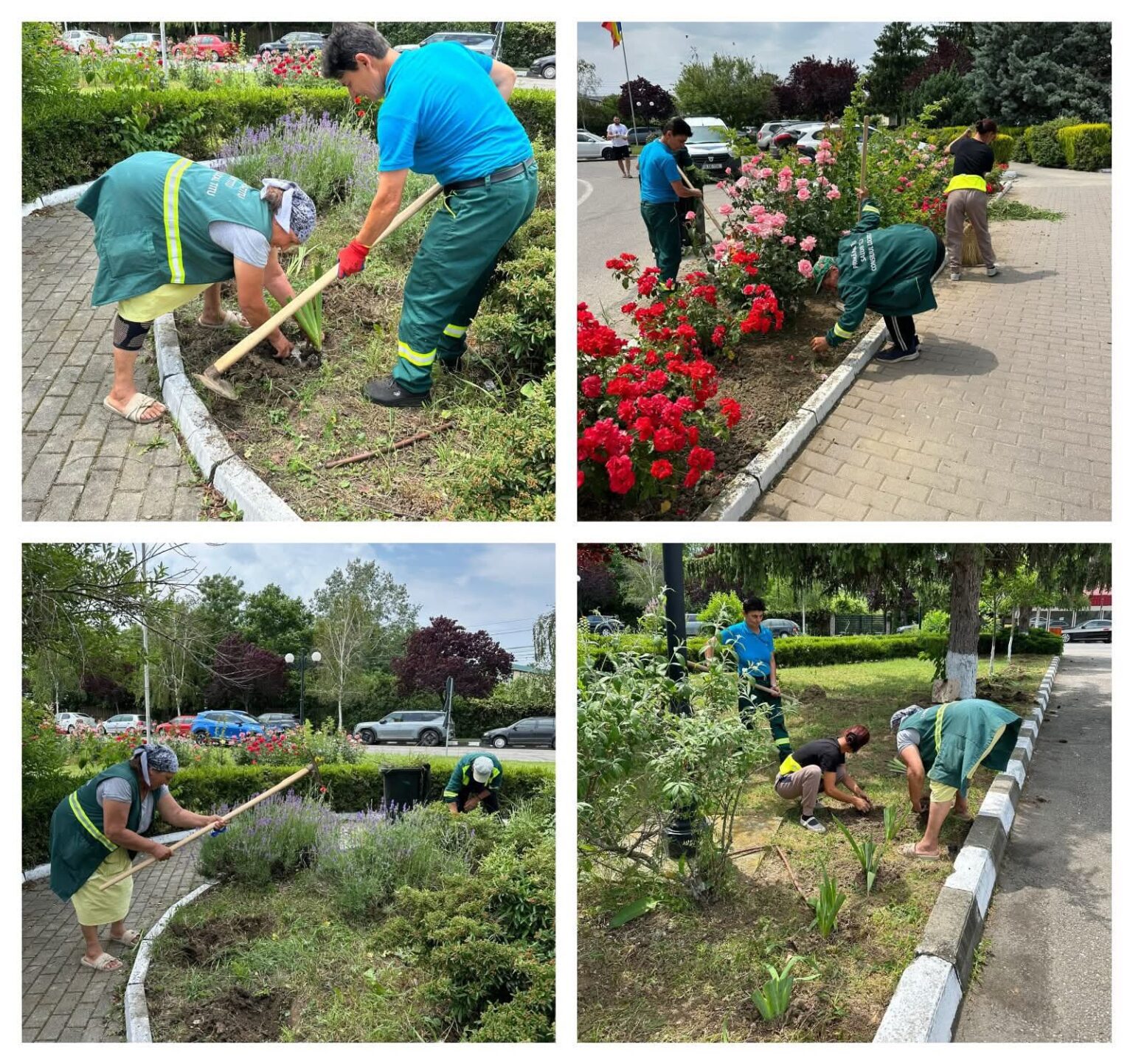 Orașul Titu: Investiții și grijă pentru comunitate, în săptămâna 9-13 iunie 2025